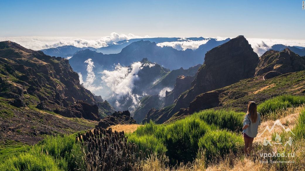 Pohodia The Ocean Mountains A Warm Breeze And A Delight A Tour